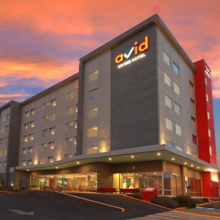 Avid Hotel - Fresnillo By Ihg Fresnillo de González Echeverría Eksteriør billede