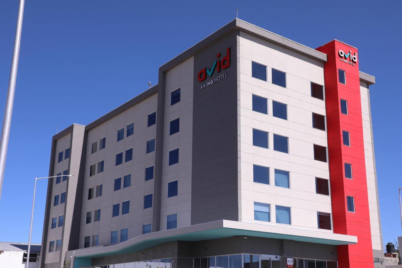 Avid Hotel - Fresnillo By Ihg Fresnillo de González Echeverría Eksteriør billede