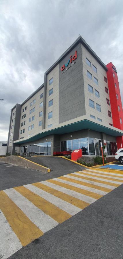 Avid Hotel - Fresnillo By Ihg Fresnillo de González Echeverría Eksteriør billede